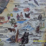 台灣動物地圖