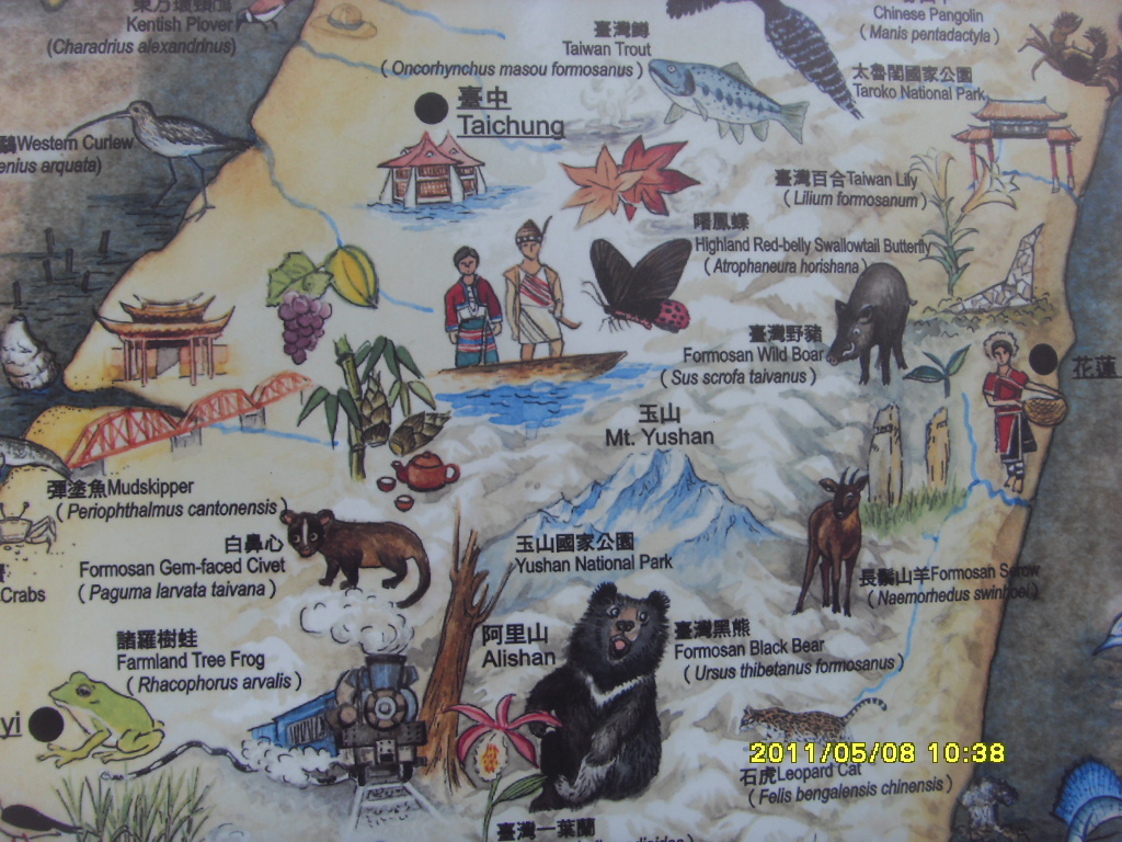 台灣動物地圖